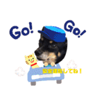 《 チワックス》モカのスタンプ（個別スタンプ：17）