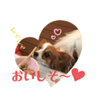 パピヨン犬のメープルちゃん（個別スタンプ：18）