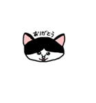 ゆるねこくーちゃん1（個別スタンプ：2）