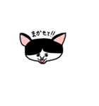 ゆるねこくーちゃん1（個別スタンプ：3）
