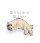 まる先輩からのお言葉（個別スタンプ：3）