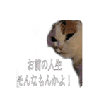 まる先輩からのお言葉（個別スタンプ：6）