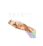 まる先輩からのお言葉（個別スタンプ：7）