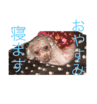 ルアレンとるきのスタンプ（個別スタンプ：2）