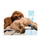 ルアレンとるきのスタンプ（個別スタンプ：14）