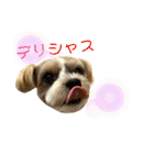 我が家のアイドル！？ヨープー君（個別スタンプ：13）