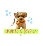 我が家のアイドル！？ヨープー君（個別スタンプ：15）