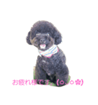 クロプーCOCO（個別スタンプ：1）