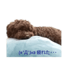 クロプーCOCO（個別スタンプ：3）