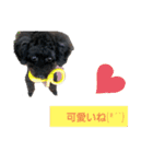 クロプーCOCO（個別スタンプ：4）