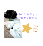 クロプーCOCO（個別スタンプ：8）