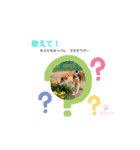 リリィーの日常①（個別スタンプ：9）