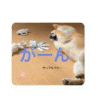 リリィーの日常①（個別スタンプ：12）
