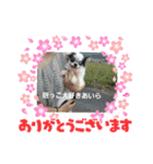 fukatani13（個別スタンプ：4）
