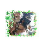 fukatani13（個別スタンプ：5）