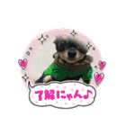 fukatani13（個別スタンプ：13）