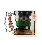 fukatani13（個別スタンプ：15）
