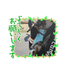 fukatani13（個別スタンプ：18）