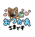 fukatani13（個別スタンプ：32）