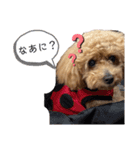 ねねちゃんでーす（個別スタンプ：2）