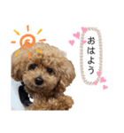 ねねちゃんでーす（個別スタンプ：4）