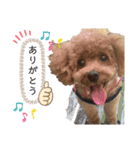 ねねちゃんでーす（個別スタンプ：8）