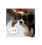 るなちゃんのstamp（個別スタンプ：1）