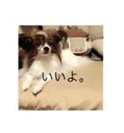 るなちゃんのstamp（個別スタンプ：8）