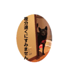 甲斐犬スタンプ(大きめ・敬語)（個別スタンプ：10）