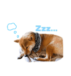 むぎのスタンプ1（個別スタンプ：9）