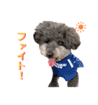 トイくんマハロくんスタンプ第二弾（個別スタンプ：18）
