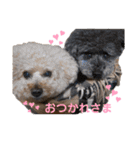 トイくんマハロくんスタンプ第二弾（個別スタンプ：19）