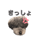 トイくんマハロくんスタンプ第二弾（個別スタンプ：32）