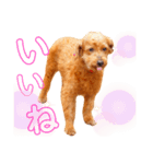 ココロ日和（個別スタンプ：4）