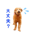ココロ日和（個別スタンプ：11）