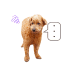 ココロ日和（個別スタンプ：13）