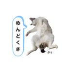 ねこにゃ日和〜その2（個別スタンプ：2）