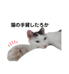 ねこにゃ日和〜その2（個別スタンプ：5）