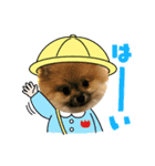 愛犬ちいず（個別スタンプ：6）