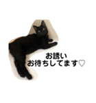 黒猫クミン（個別スタンプ：5）