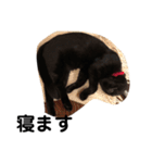 黒猫クミン（個別スタンプ：12）