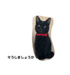 黒猫クミン（個別スタンプ：15）