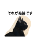 黒猫クミン（個別スタンプ：20）