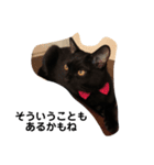 黒猫クミン（個別スタンプ：21）