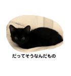 黒猫クミン（個別スタンプ：26）