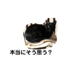 黒猫クミン（個別スタンプ：32）
