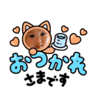 aoto＆riri（個別スタンプ：14）
