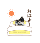 ソランとの日常（個別スタンプ：1）