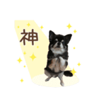 ソランとの日常（個別スタンプ：4）