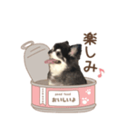 ソランとの日常（個別スタンプ：5）